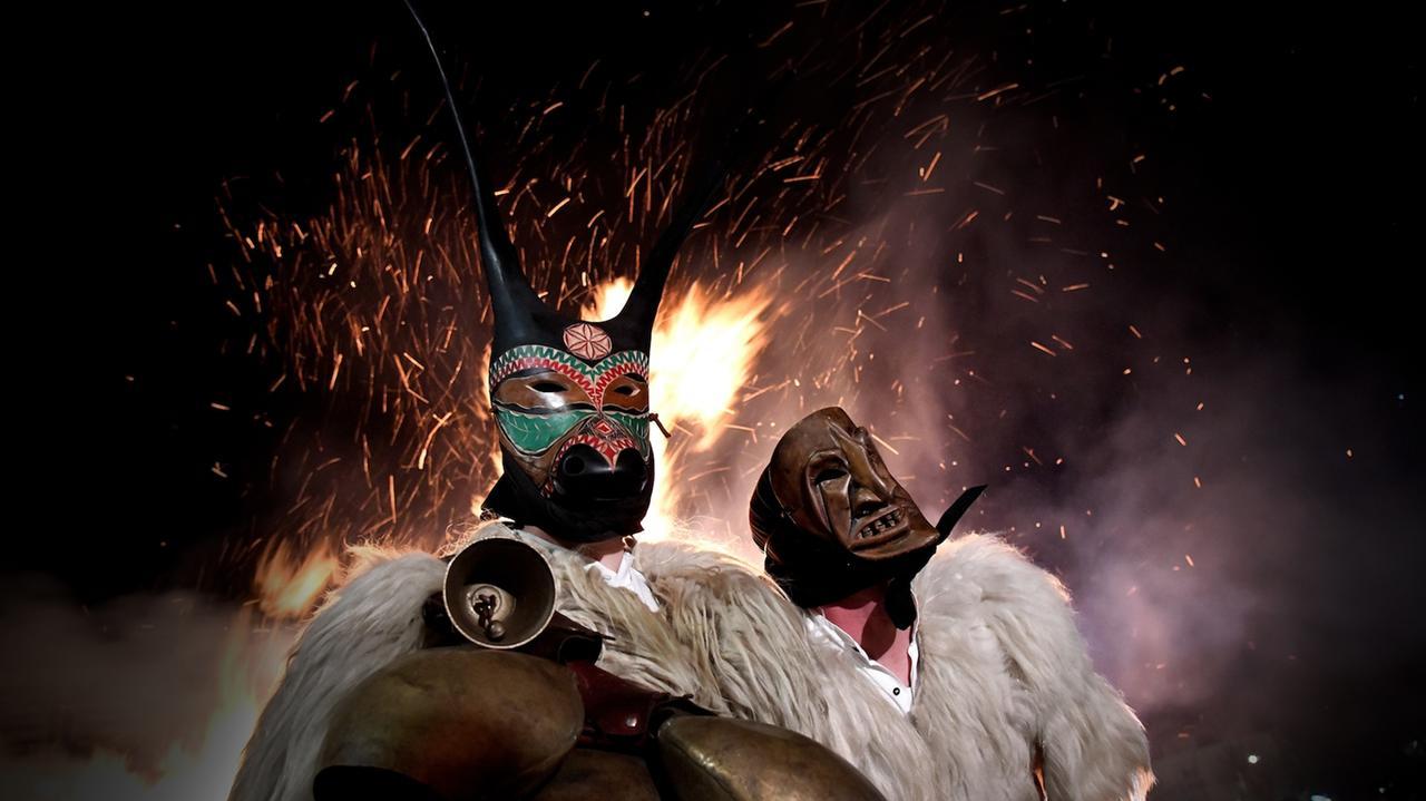 (foto di Massimo Locci)