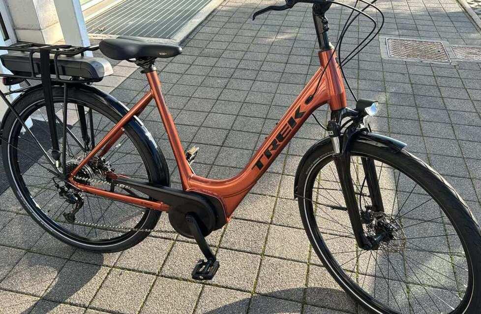 
	La bici elettrica rubata alla donna

