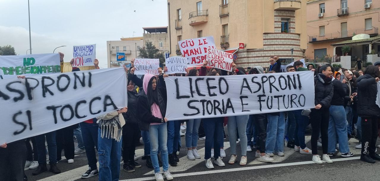 Il silenzio assordante dei dirigenti scolastici, Serusi (Anp): «Piano tecnico, non politico»