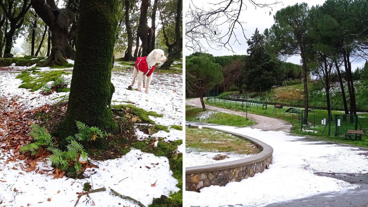 
	La grandinata a Pomarance (Fb: Meteo Gruppo/Marzia Forli)


