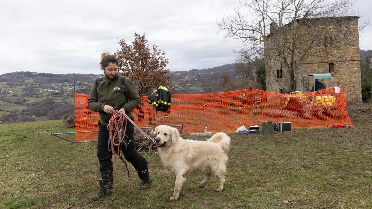 Il cane Even alla Torre di Pignone (foto di Luigi Esposito)