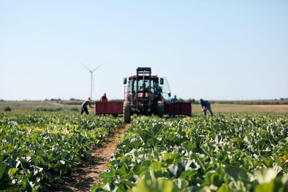 
	Agricoltura biologica, perch&eacute; difenderla e tutelarla

