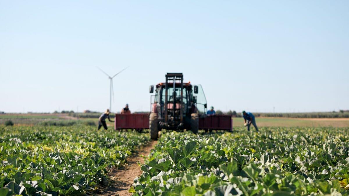 Agricoltura biologica, perché difenderla e tutelarla