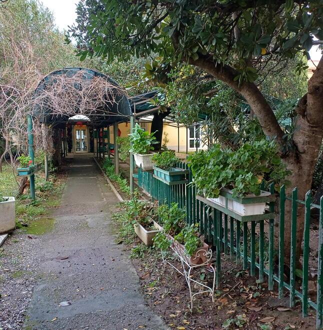 Livorno, i Centri anziani si fanno avanti per ospitare i doposcuola gratuiti