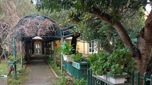 Livorno, i Centri anziani si fanno avanti per ospitare i doposcuola gratuiti