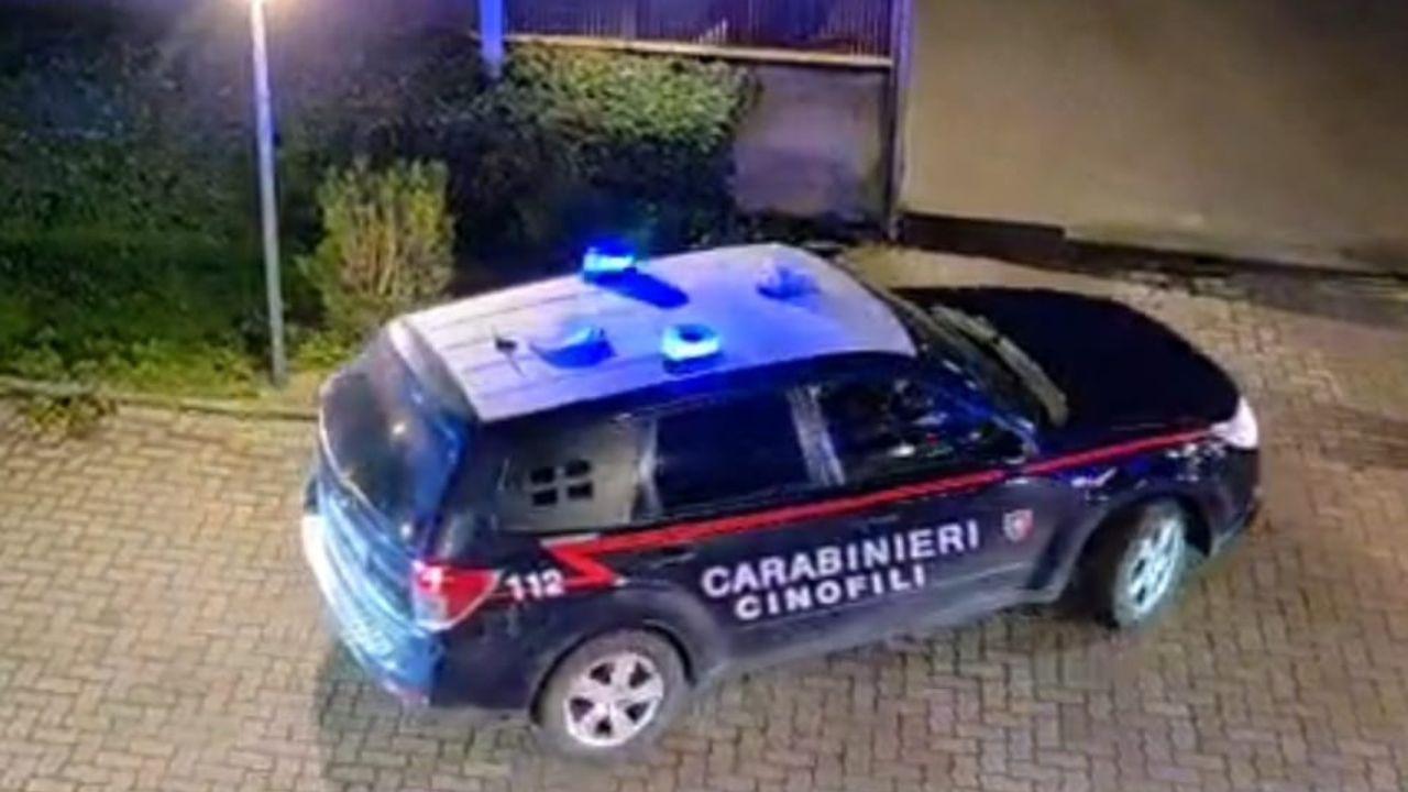 I carabinieri impegnati nell'operazione all'Elba