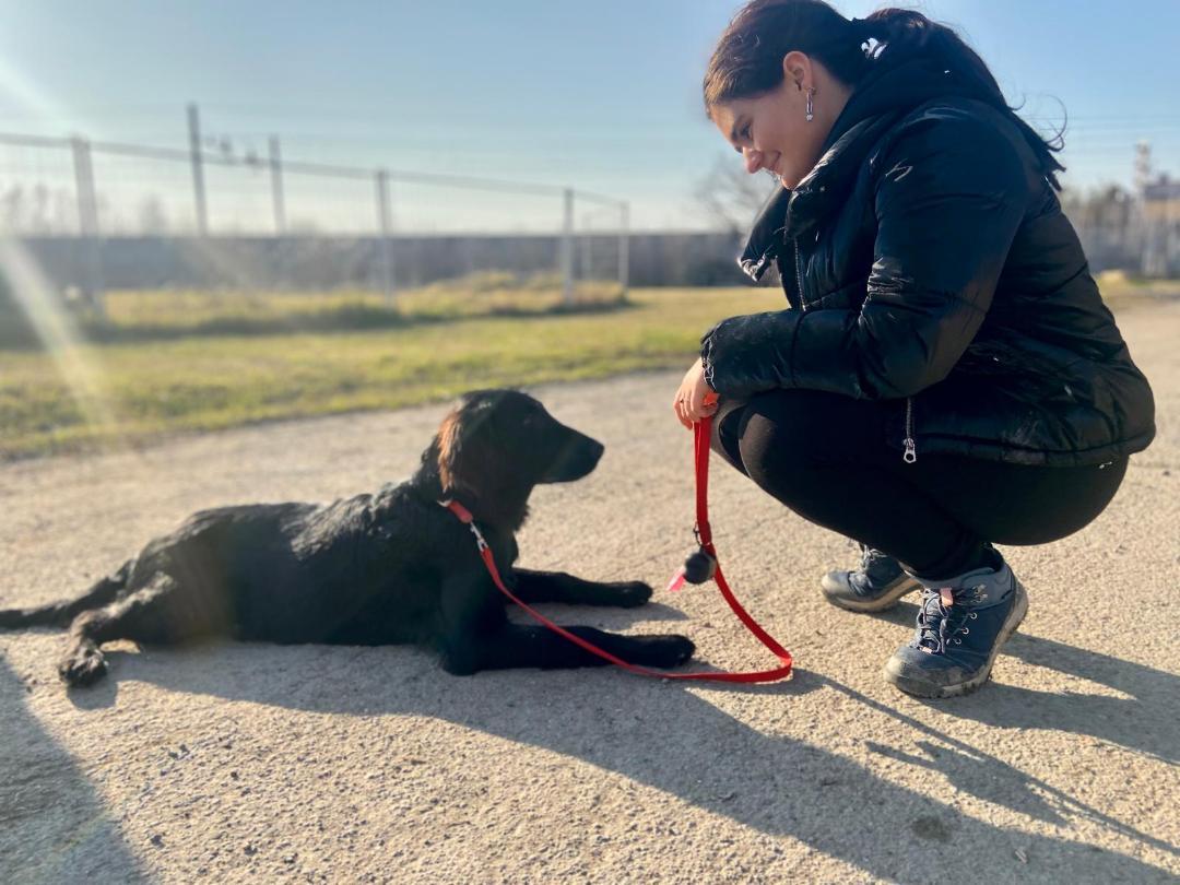 Il cane Theo alleato speciale di Mia per affrontare l’epilessia