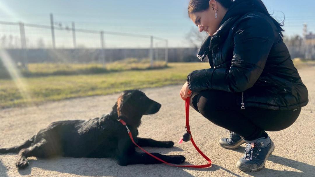 Il cane Theo alleato speciale di Mia per affrontare l’epilessia