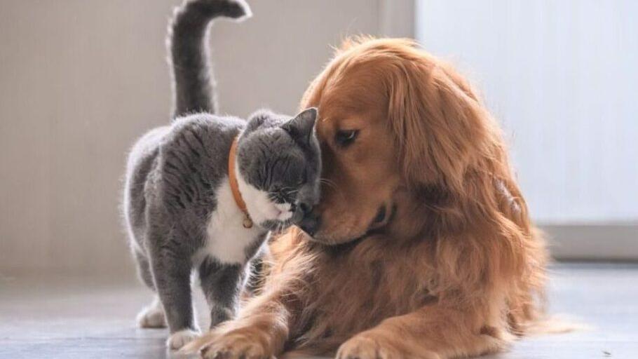 (foto di repertorio)