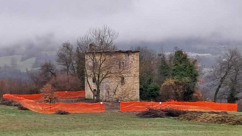 Daniela Ruggi, c’è un altro reperto a Vitriola