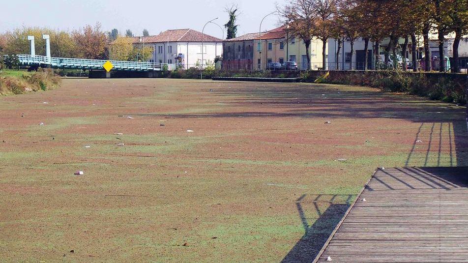 Massa pretende risultati
