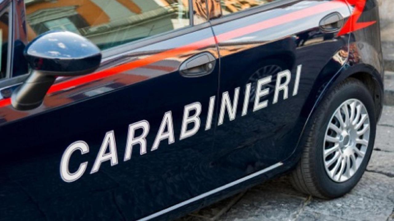 Panico a Olbia, muore il cane ferito con le forbici dal giovane che ha aggredito due persone: arrestato per tentato omicidio plurimo