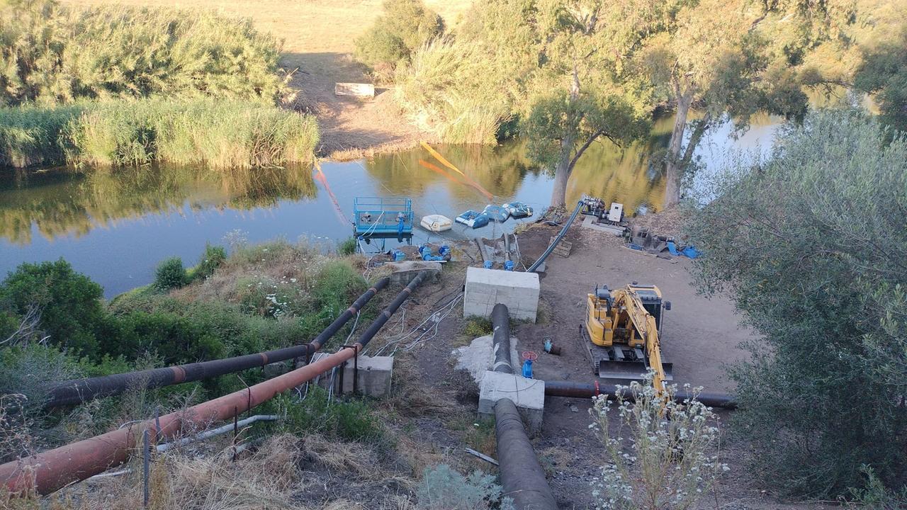 Egas, ricorso contro Albieri: «La sua presidenza è illegittima»