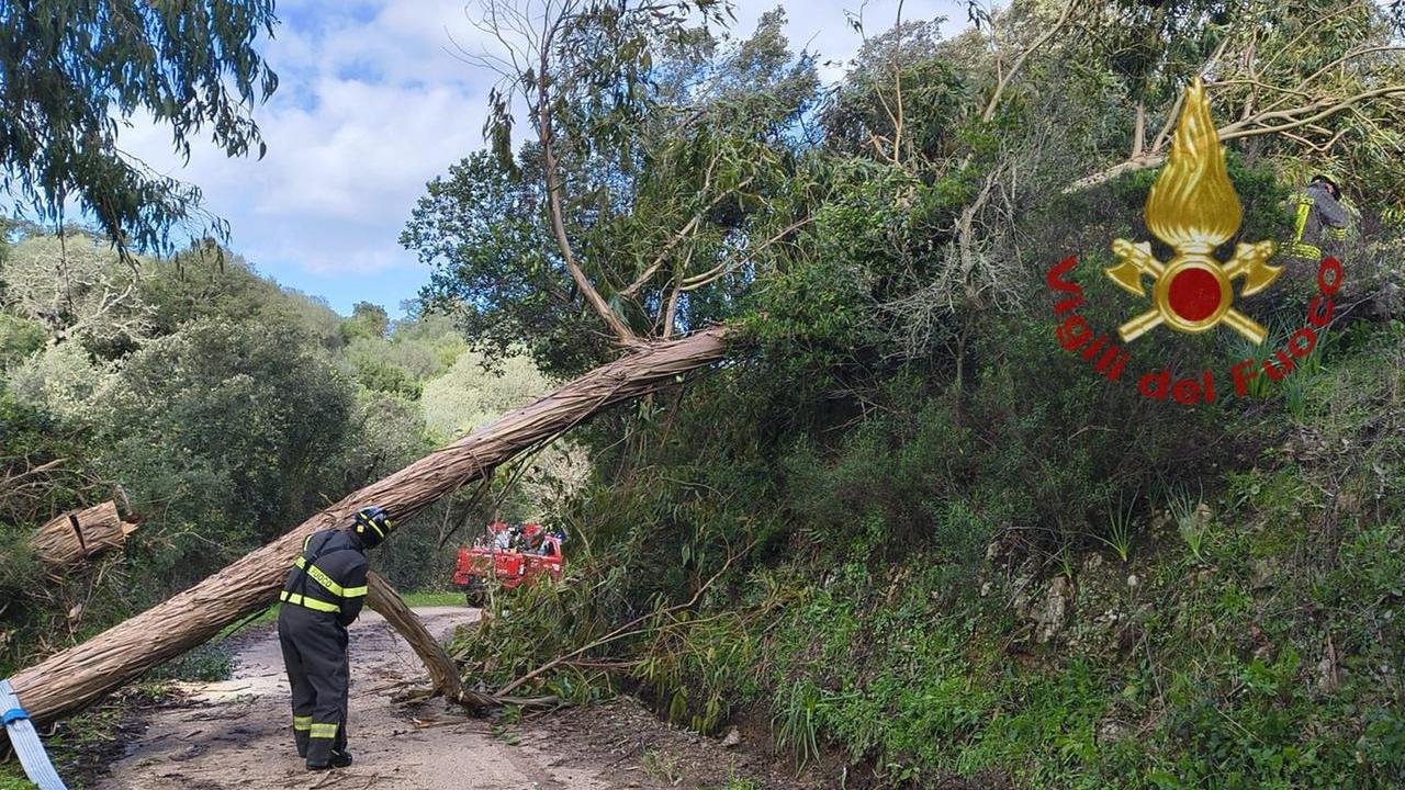 Tempesta di vento nel Nord Sardegna, danni e disagi: oltre 100 gli interventi dei vigili del fuoco
