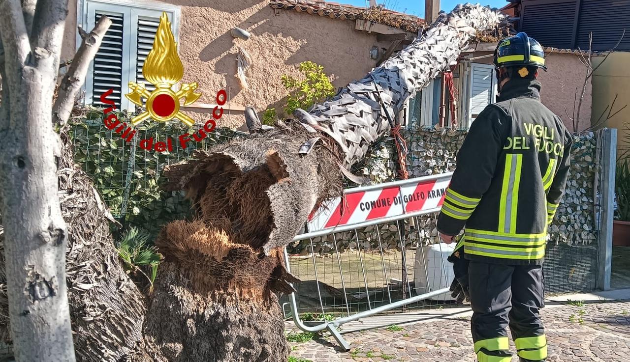 Tempesta di vento in Sardegna, alberi caduti e insegne crollate: tre persone ferite, una è grave