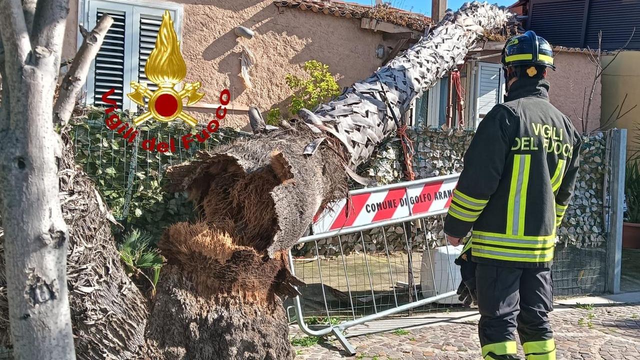 Tempesta di vento in Sardegna, alberi caduti e insegne crollate: tre persone ferite, una è grave
