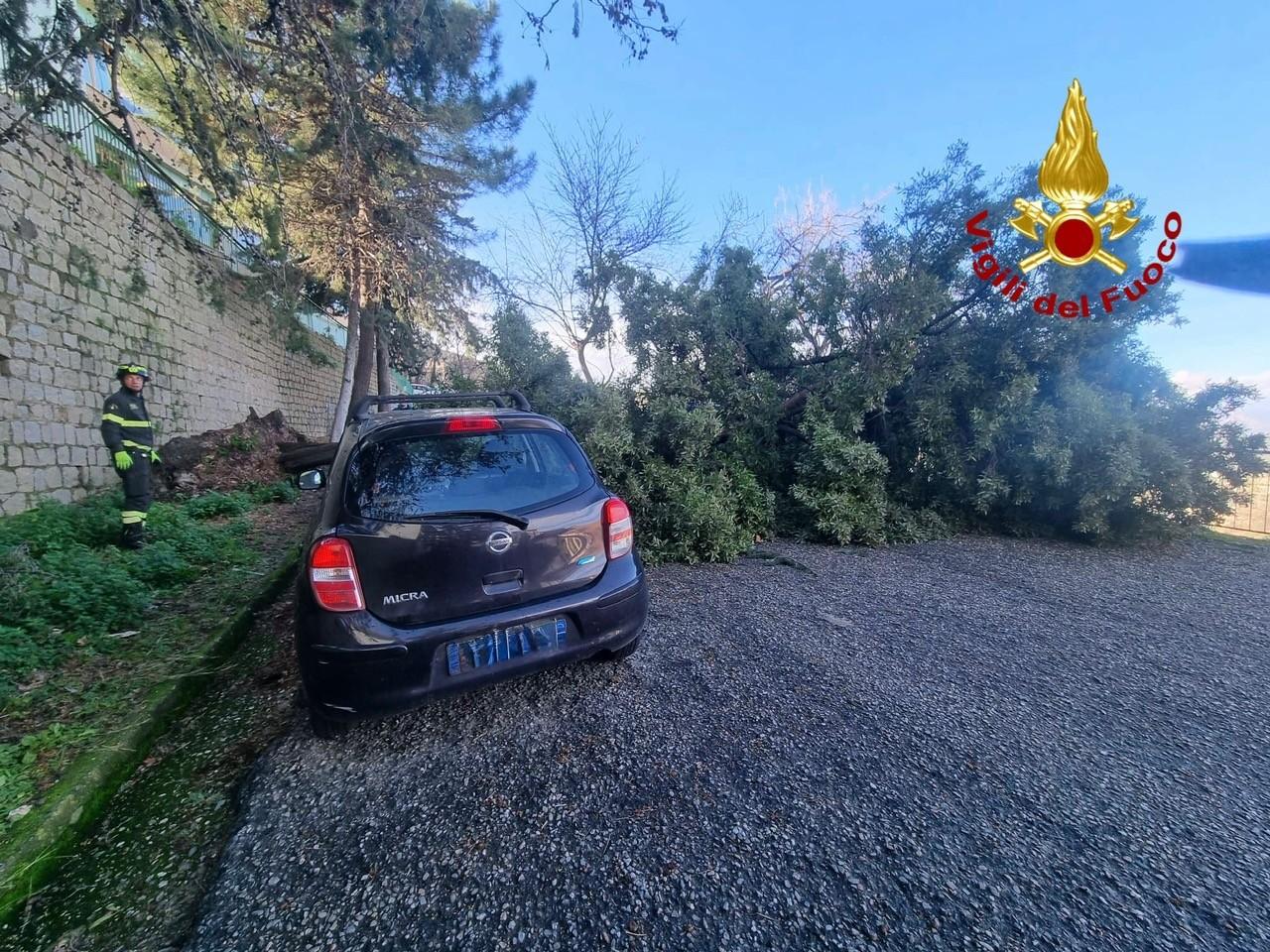 Forte vento nel Nuorese e in Ogliastra: 100 interventi dei vigili del fuoco