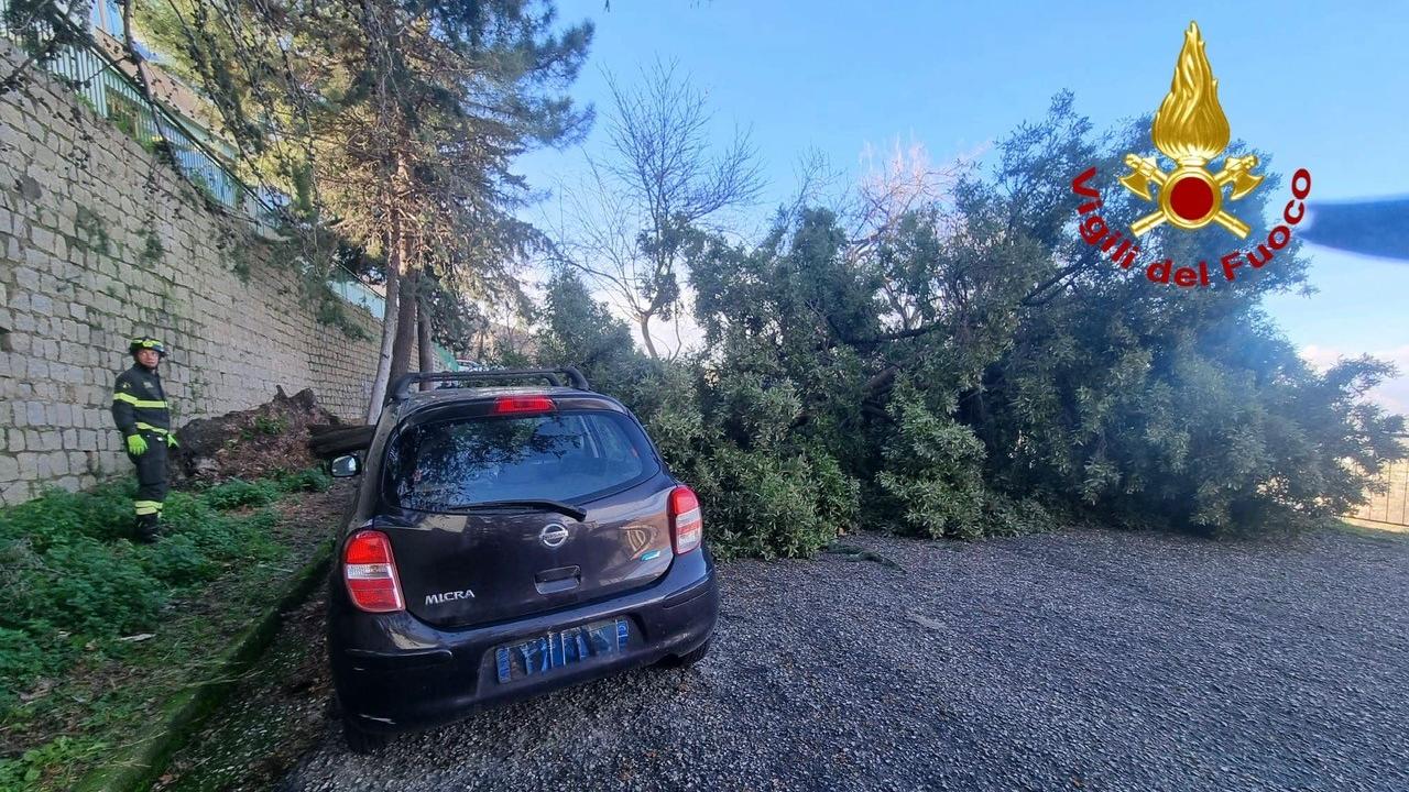 Forte vento nel Nuorese e in Ogliastra: 100 interventi dei vigili del fuoco