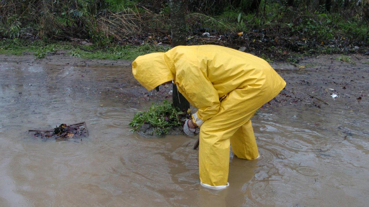 Maltempo in Sardegna, gli esperti: «Non pioveva così tanto da 65 anni»