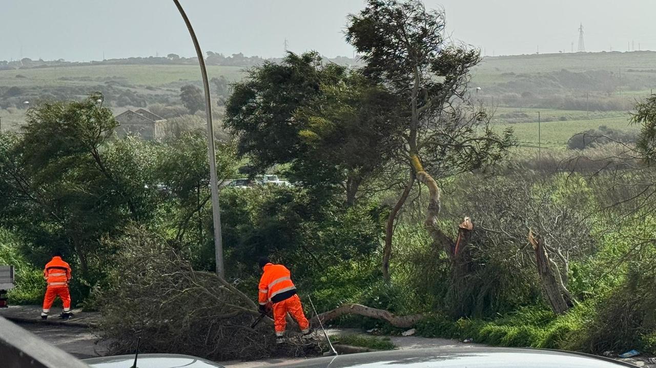 Il maestrale abbatte due alberi a Porto Torres, auto danneggiata