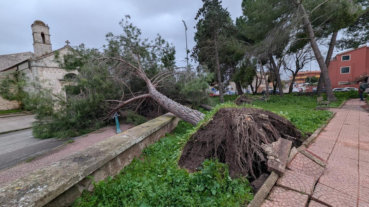 Il vento abbatte un albero davanti alla chiesa, travolto e ferito un ragazzo di 17 anni