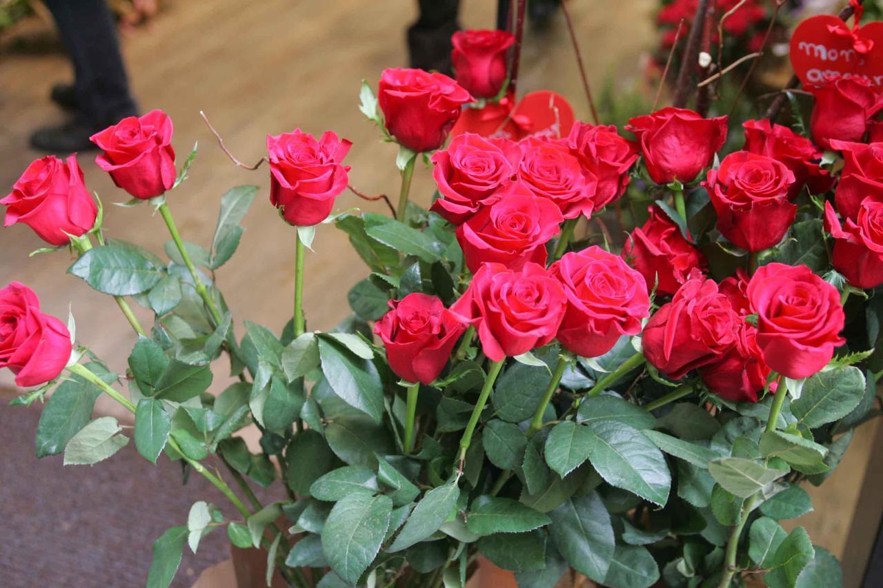 Cosa fare a San Valentino: dieci idee tra musica, cinema e teatro