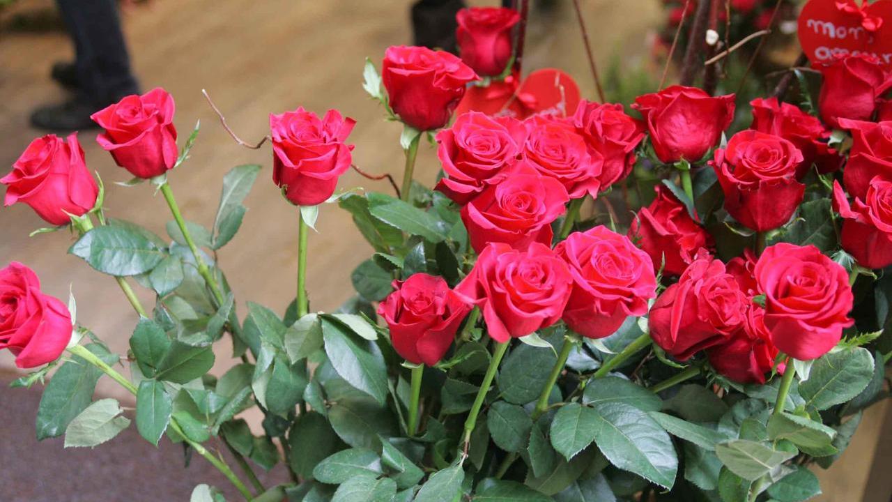 Cosa fare a San Valentino: dieci idee tra musica, cinema e teatro