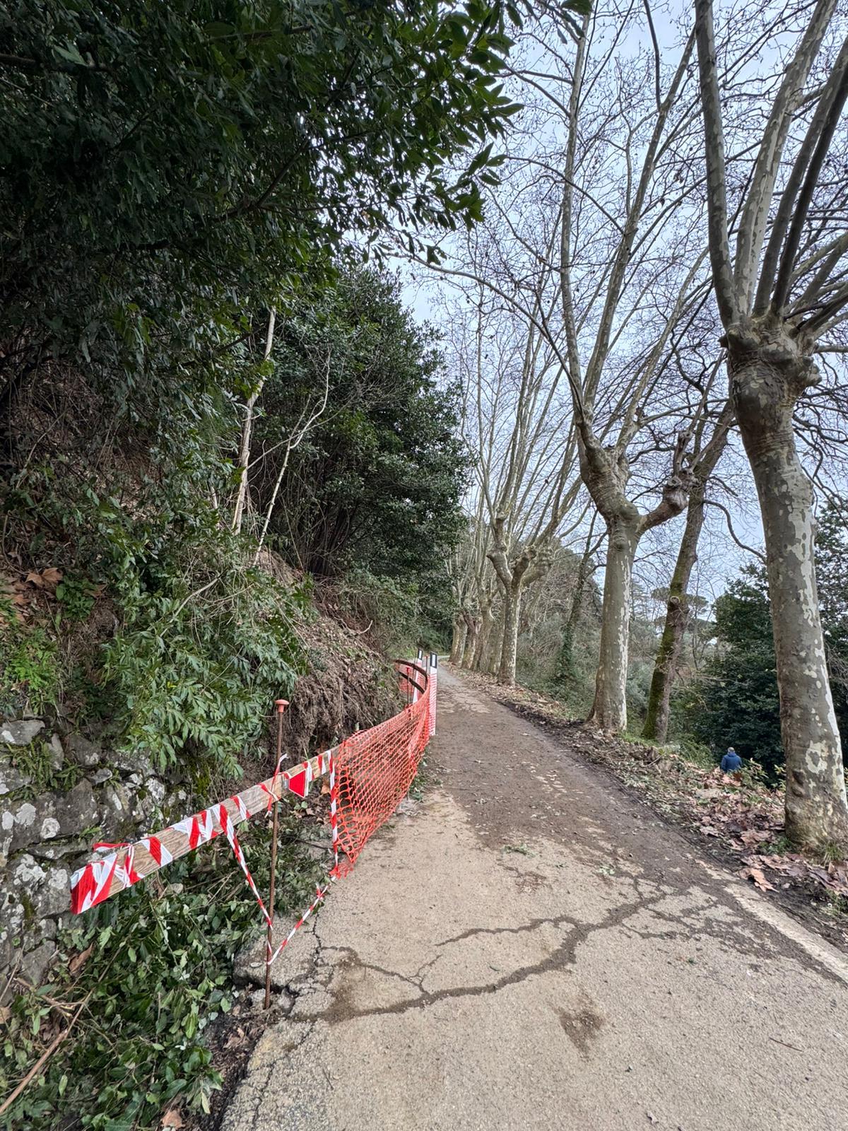 Lucca, frana rischia di isolare una frazione