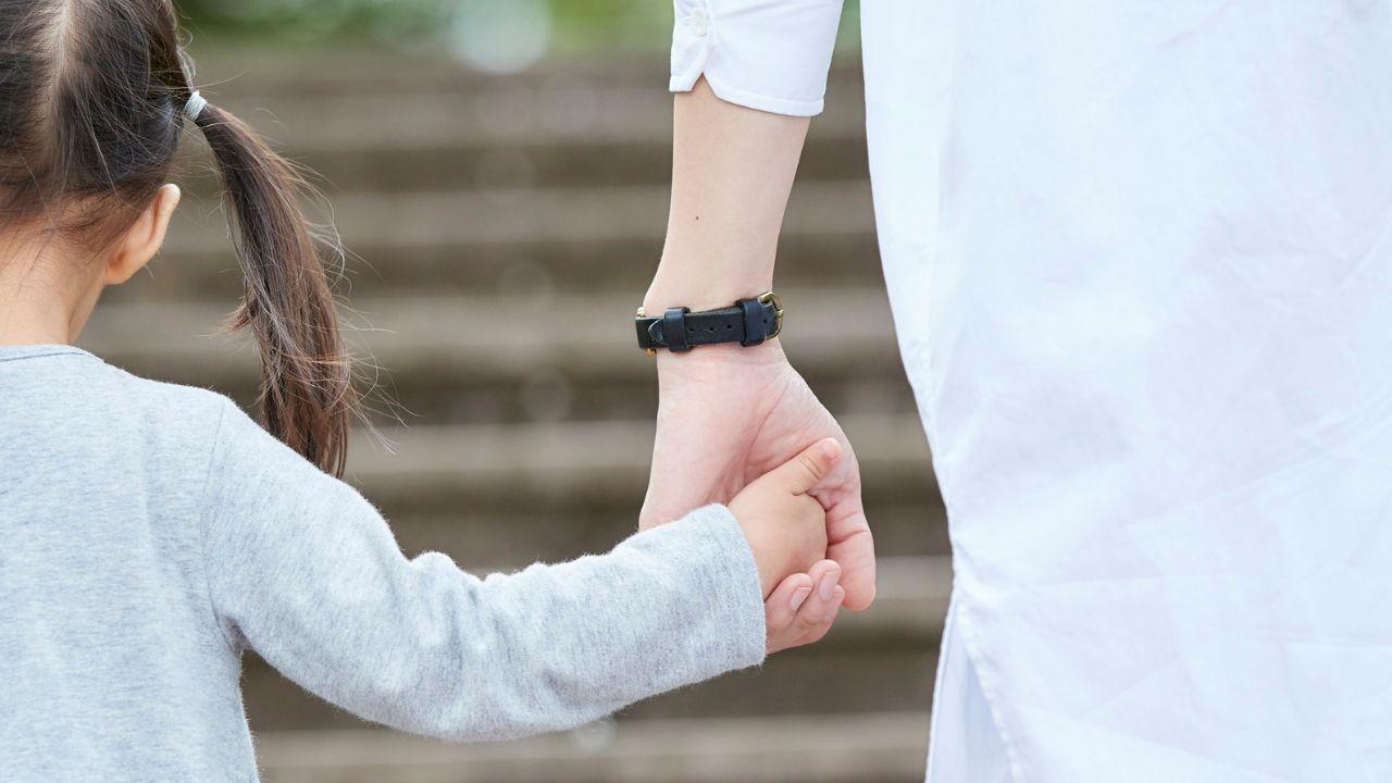 
	Paura in una scuola dell'infanzia a Roma dove una donna ha tentato di rapire una bambina

