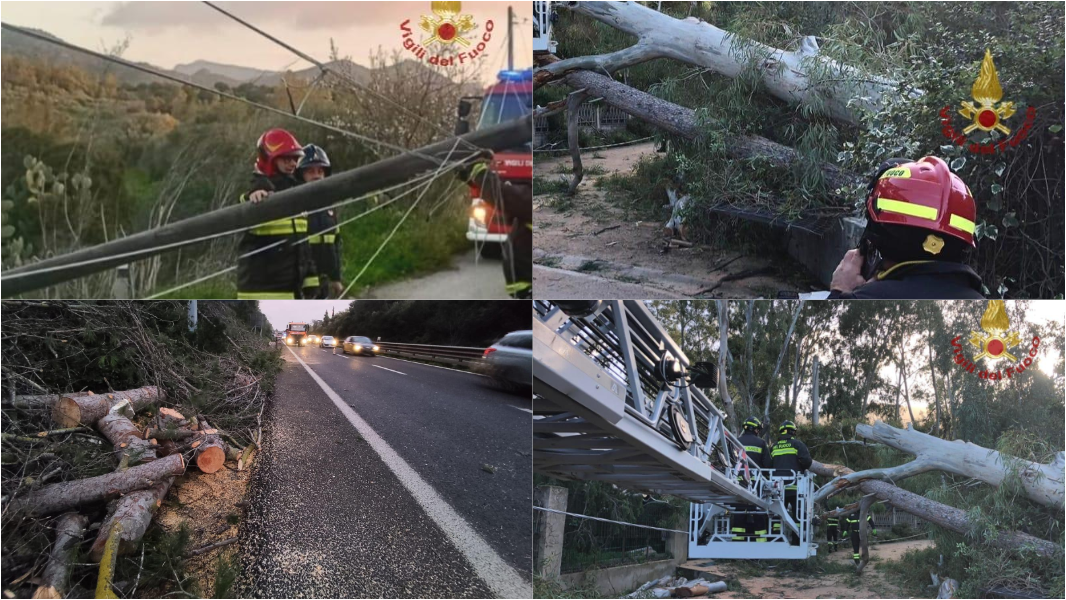 Alberi e pali della luce crollati, pannelli fotovoltaici divelti: raffiche di vento e sicurezza a rischio