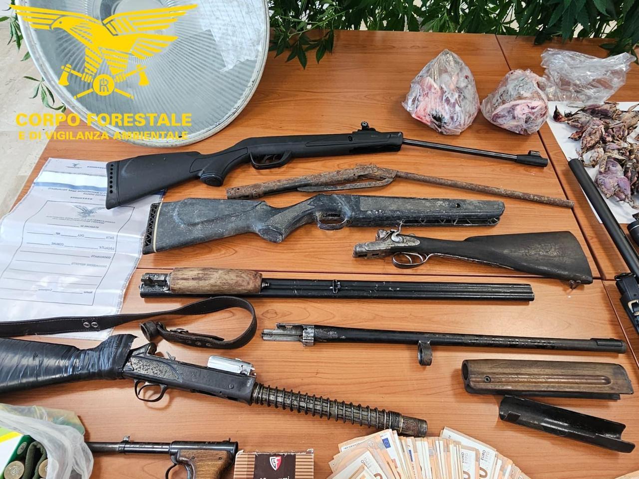Armi clandestine, cocaina, marijuana e denaro: 2 arresti e 4 denunce nel mondo del bracconaggio