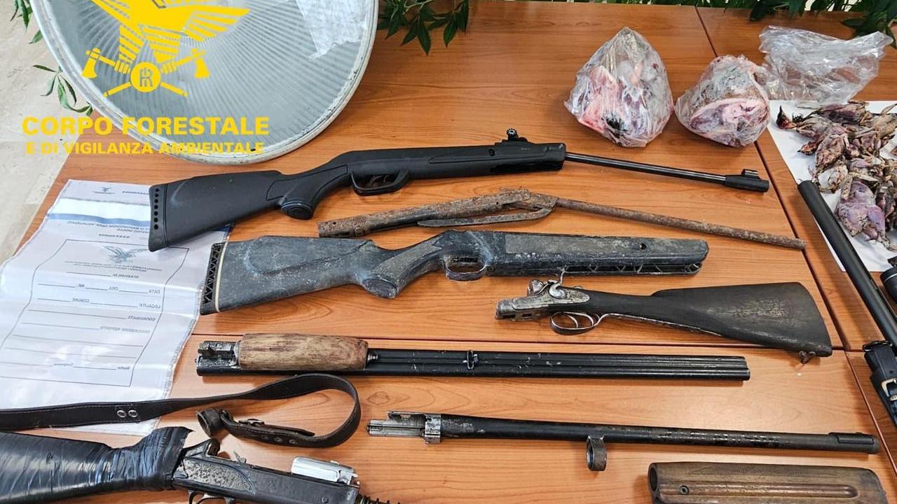 Armi clandestine, cocaina, marijuana e denaro: 2 arresti e 4 denunce nel mondo del bracconaggio