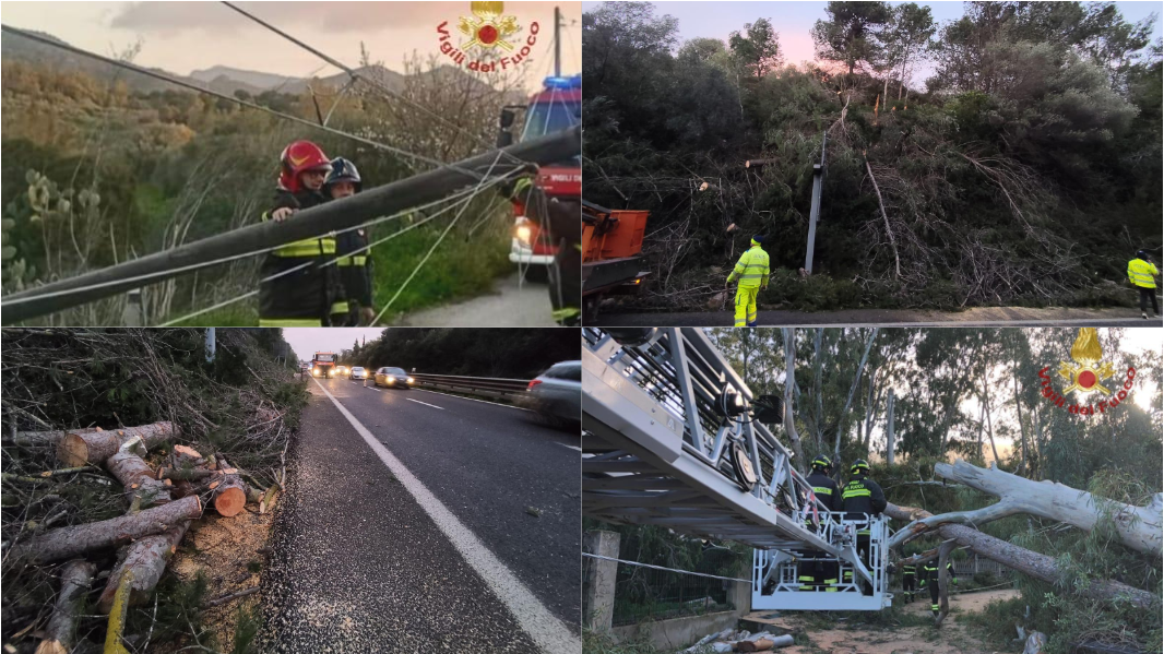 Alberi, cavi e pannelli fotovoltaici crollati, pedoni travolti dai rami, aerei dirottati: danni e disagi del ciclone di San Valentino