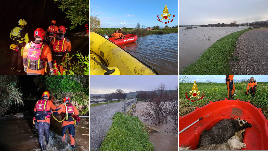 Nubifragi e vento nell’isola, i fiumi esondano e fanno paura: in salvo persone e animali fra i mille interventi dei vigili del fuoco – VIDEO