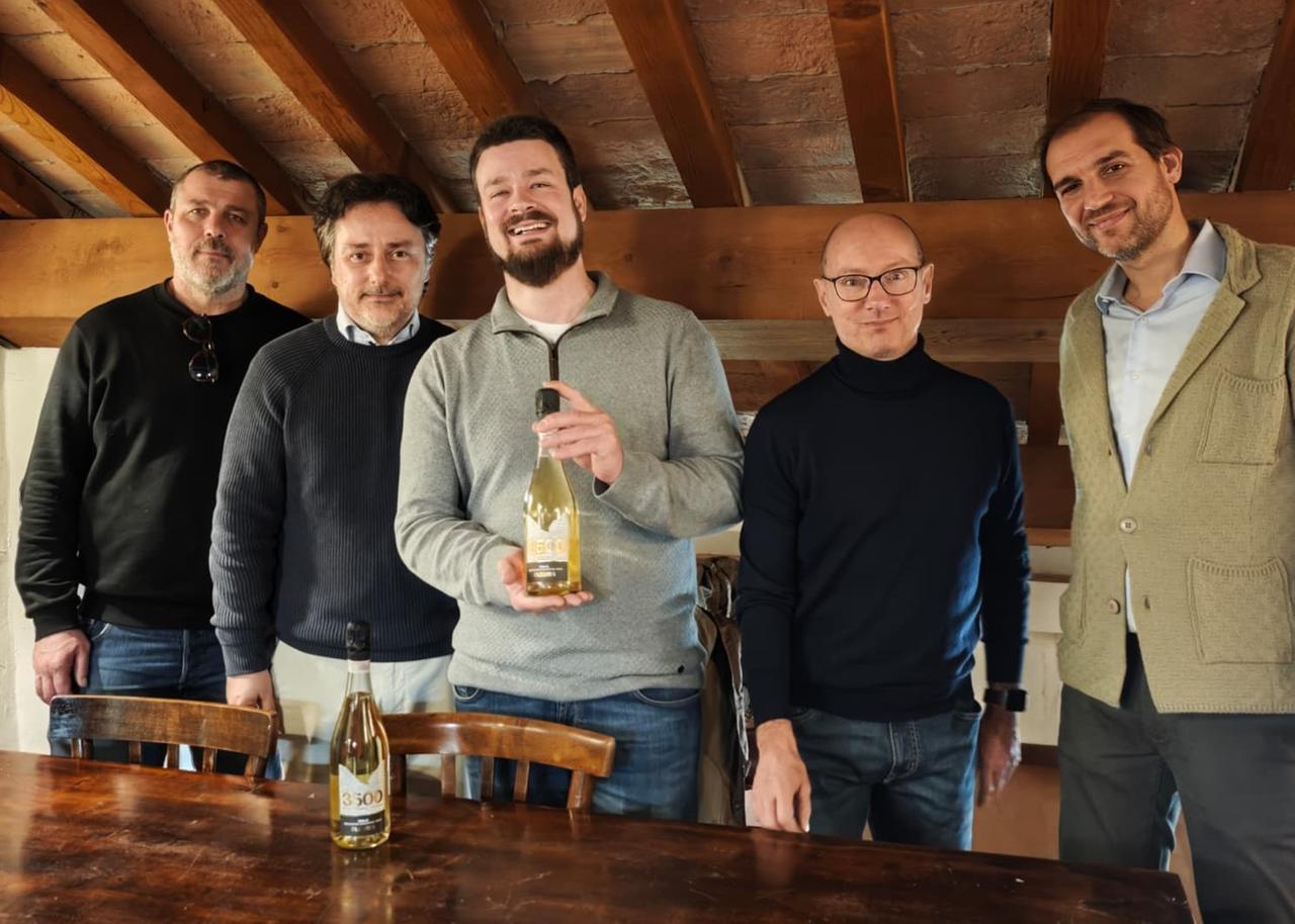 Stellata, nasce il bianco “3500”: un vino con radici antiche