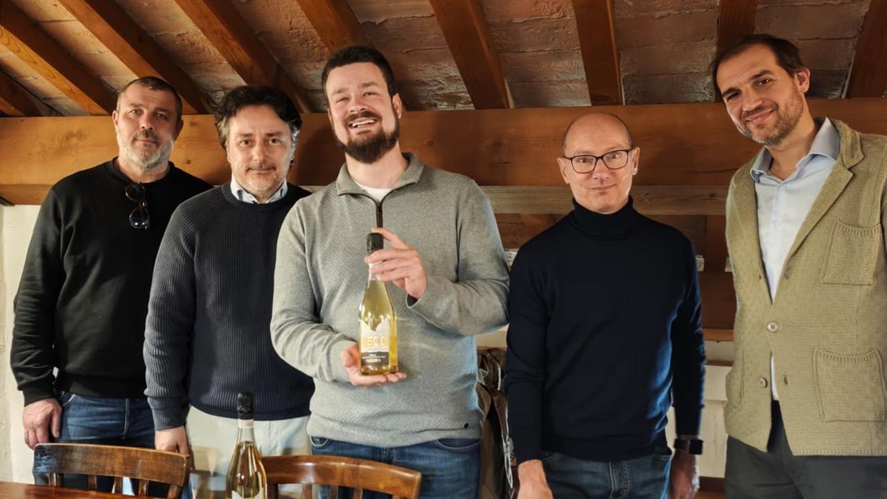 Stellata, nasce il bianco “3500”: un vino con radici antiche