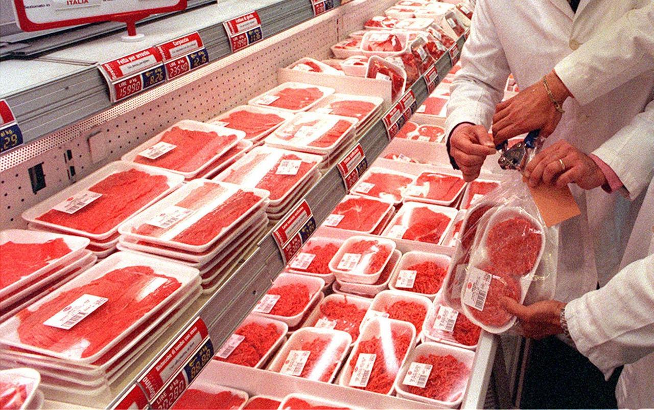 Carne di cavallo addio, due proposte di legge per vietare la macellazione