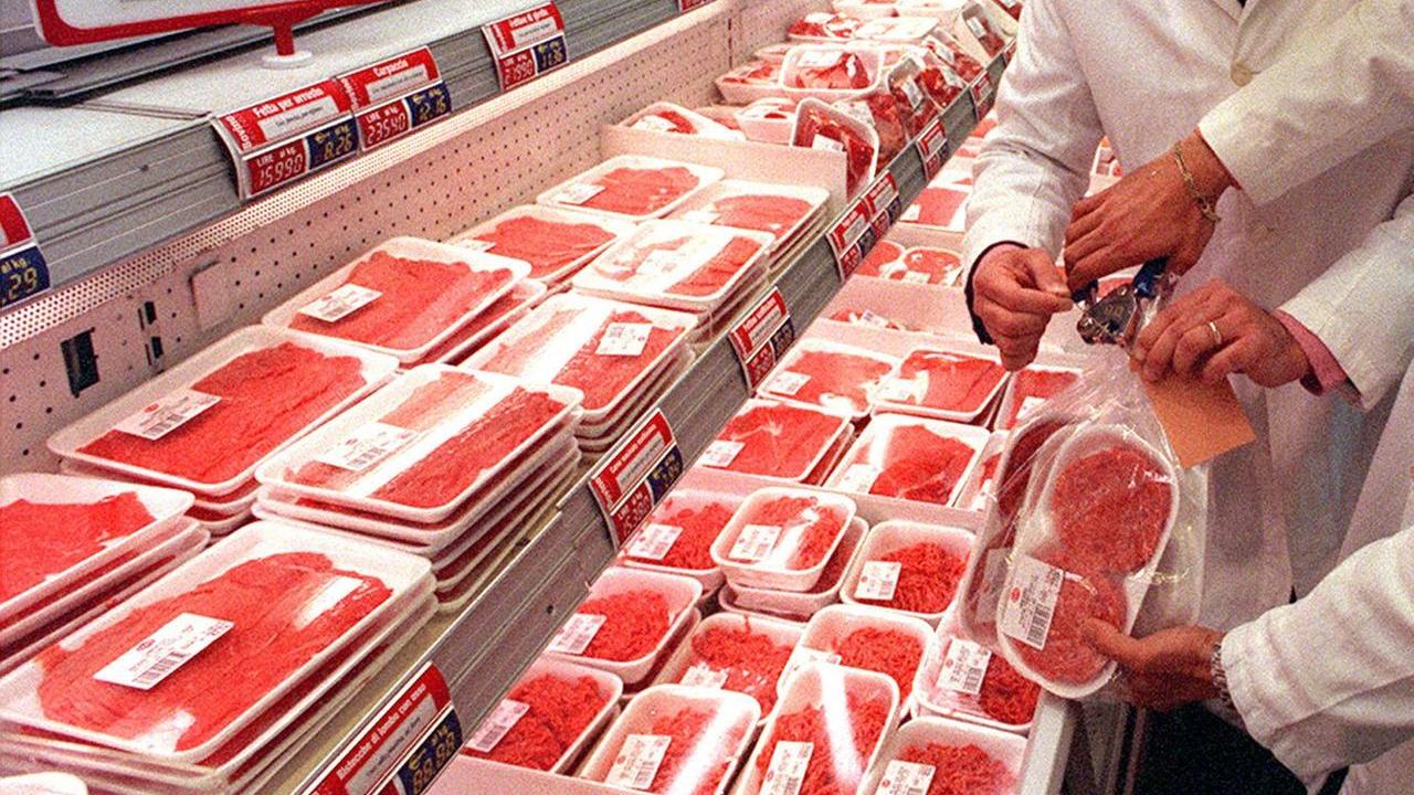 Carne di cavallo addio, due proposte di legge per vietare la macellazione