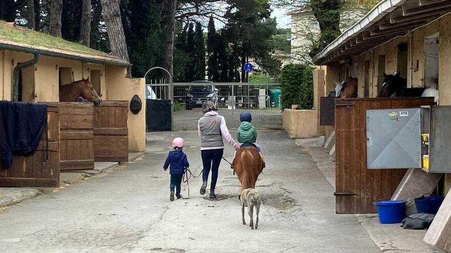 Il maneggio di Cecina (foto d'archivio)