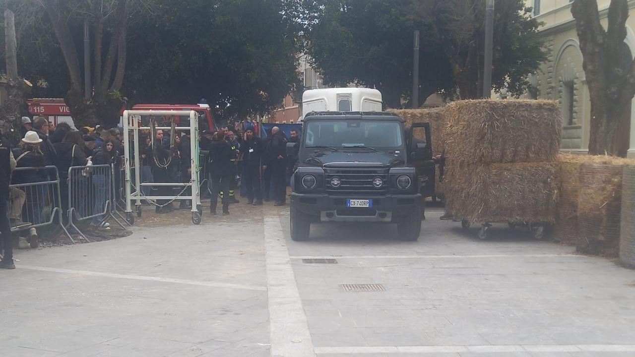 Cavallo muore prima della Sartiglia, il dolore dei proprietari – Ecco cosa sappiamo