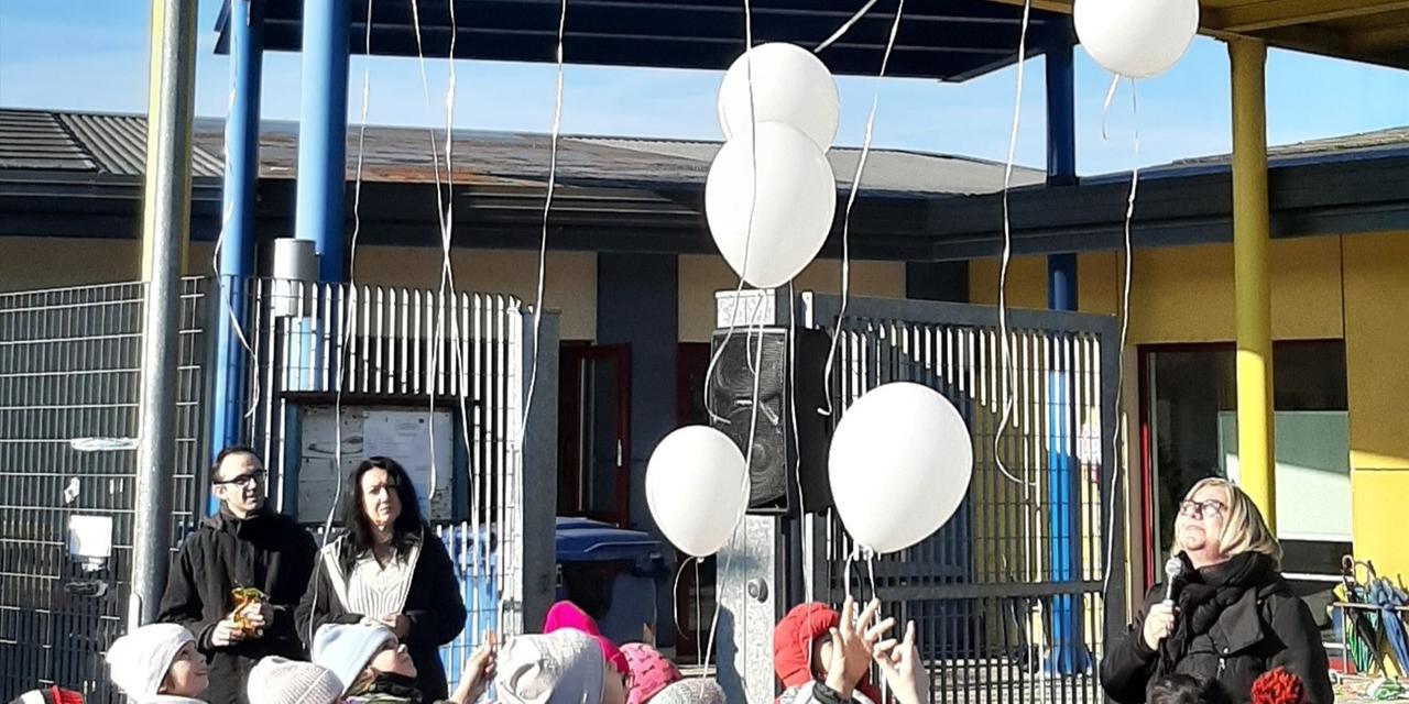 
	Il raccoglimento a San Possidonio

