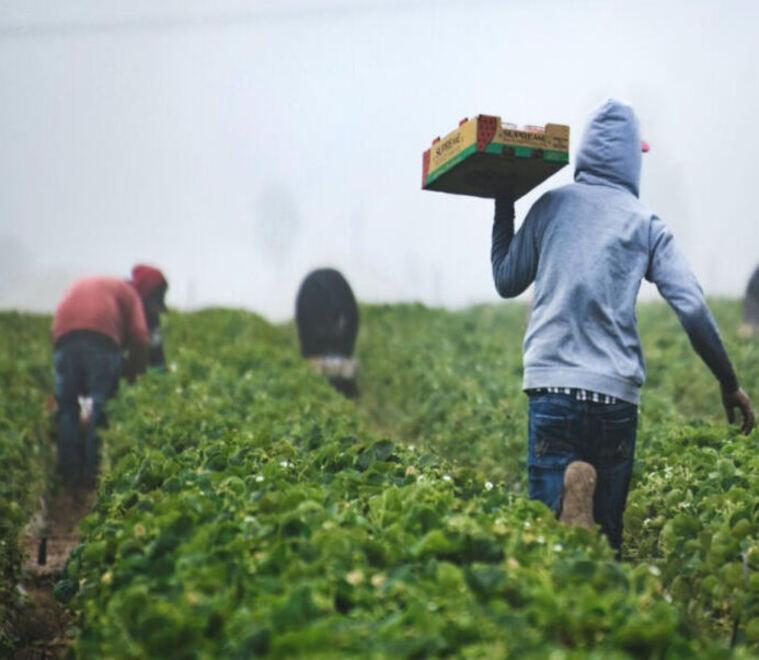 Barga, assumere manodopera dall’estero? «Un blocco navale con altri mezzi»<br type="_moz" />
