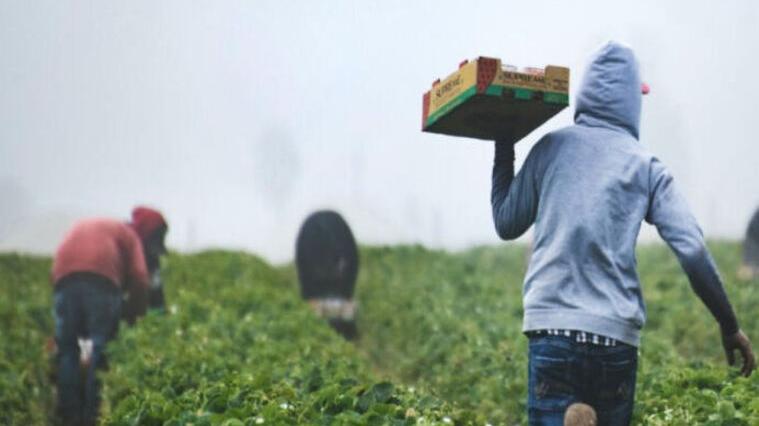 Barga, assumere manodopera dall’estero? «Un blocco navale con altri mezzi»<br type="_moz" />