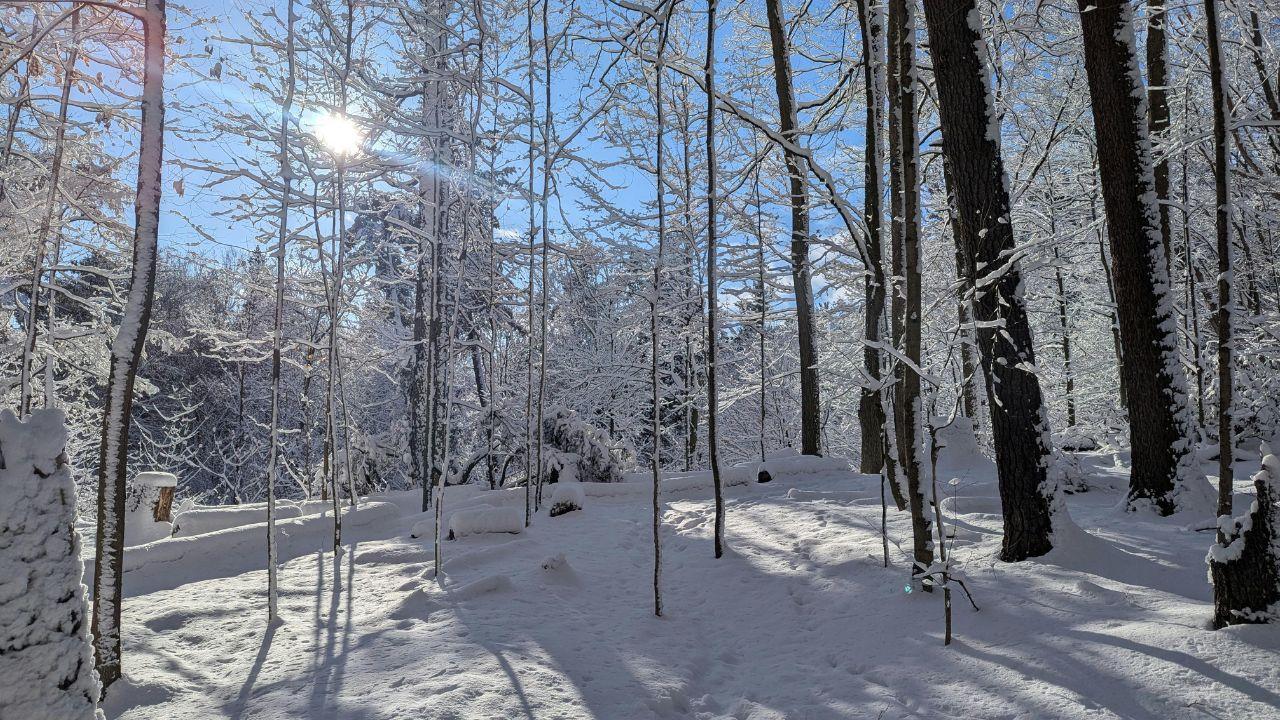 Meteo in Toscana, l’ultimo assaggio d’inverno prima della “primaverina” – Torna la neve sotto i mille metri
