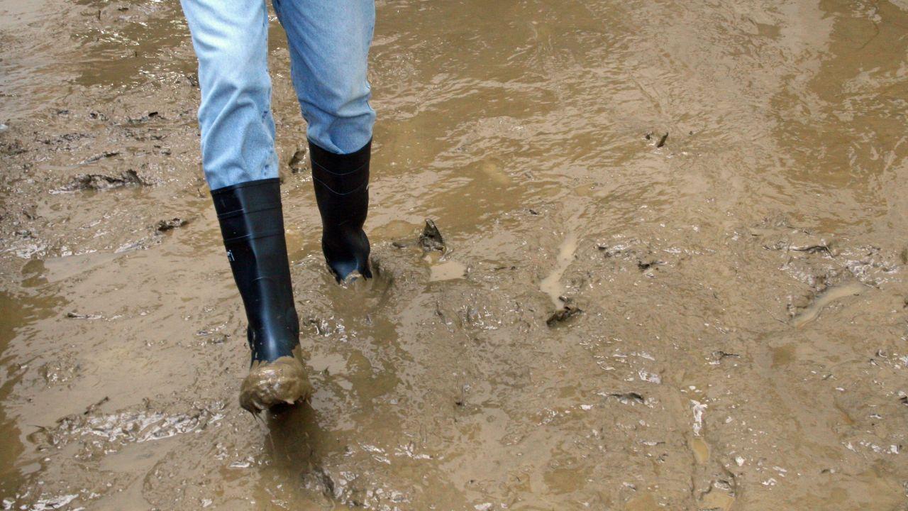 
	La scoperta in provincia di Pisa (Foto di repertorio)

