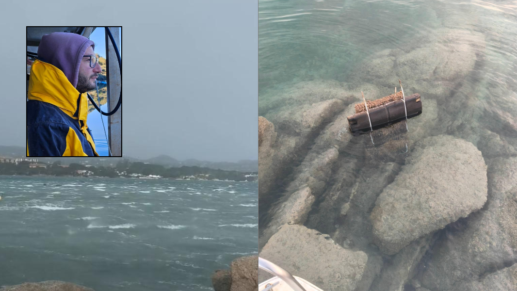 Il maltempo colpisce l’allevamento di ostriche: duro colpo per la giovane start-up aperta dopo 7 anni di battaglie