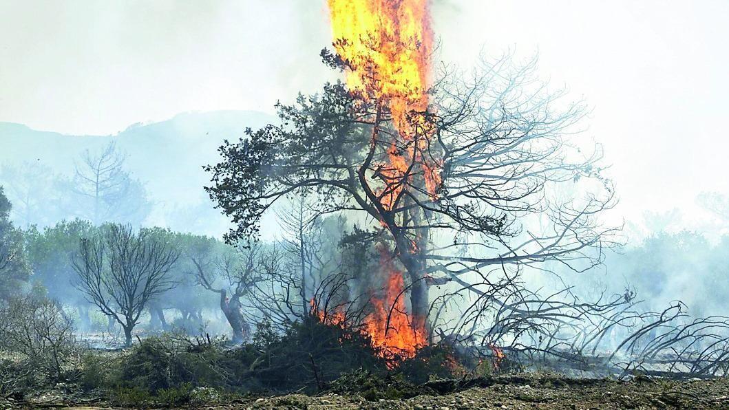 Trent’anni di incendi in Sardegna: la maggior parte è dolosa – Tutte le cause e i numeri