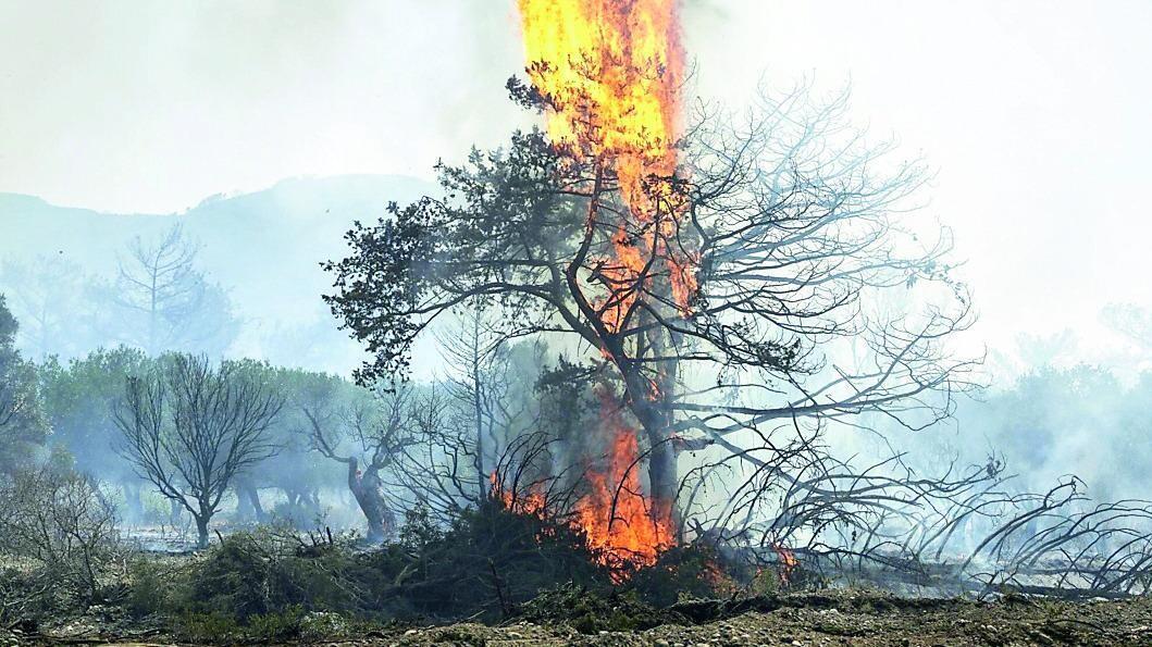 Trent’anni di incendi in Sardegna: la maggior parte è dolosa – Tutte le cause e i numeri