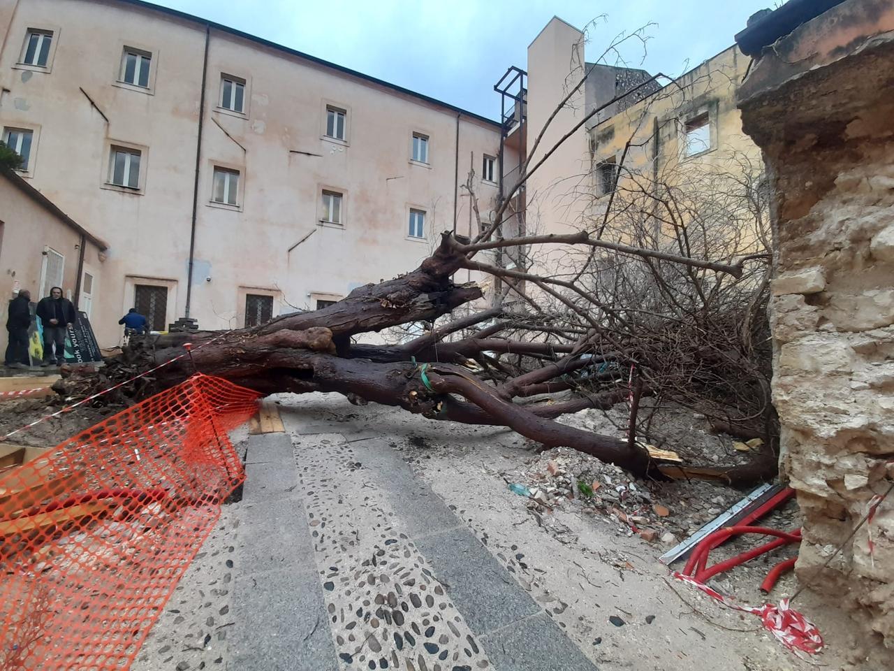 Nuova tempesta di maestrale, a Sassari chiudono parchi e giardini