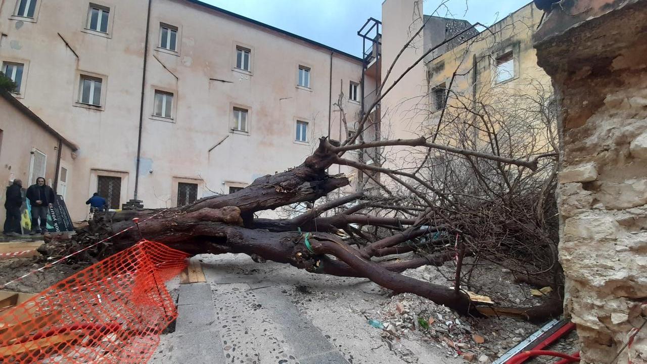 Nuova tempesta di maestrale, a Sassari chiudono parchi e giardini
